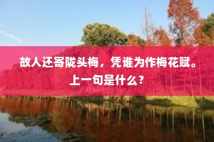 故人还寄陇头梅，凭谁为作梅花赋。上一句是什么？