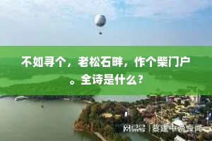 不如寻个，老松石畔，作个柴门户。全诗是什么？
