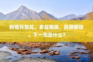 料恨月愁花，多应瘦损，风柳腰肢。下一句是什么？