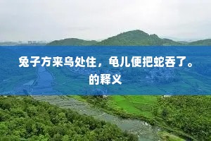 兔子方来乌处住，龟儿便把蛇吞了。的释义
