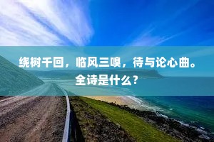 绕树千回，临风三嗅，待与论心曲。全诗是什么？
