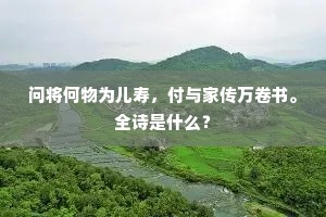 问将何物为儿寿，付与家传万卷书。全诗是什么？