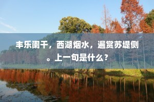 丰乐阑干，西湖烟水，遍赏苏堤侧。上一句是什么？