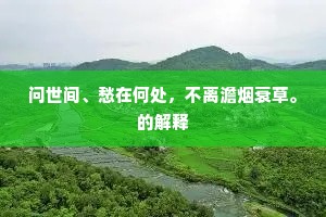 问世间、愁在何处，不离澹烟衰草。的解释