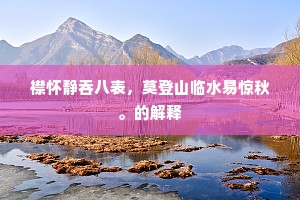 襟怀静吞八表，莫登山临水易惊秋。的解释