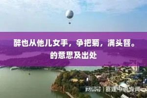醉也从他儿女手，争把菊，满头簪。的意思及出处