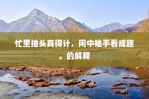 忙里抽头真得计，闲中袖手看成趣。的解释