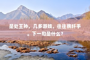 是处王孙，几多游妓，往往携纤手。下一句是什么？