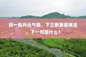 投一粒丹元气转，下三数著输棋活。下一句是什么？