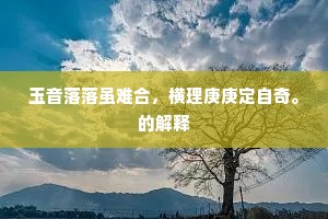 玉音落落虽难合，横理庚庚定自奇。的解释