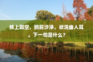 枝上瓢空，鸥前沙净，欲洗幽人耳。下一句是什么？