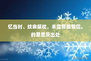 忆当时、纹衾粲枕，未尝暂孤鸳侣。的意思及出处