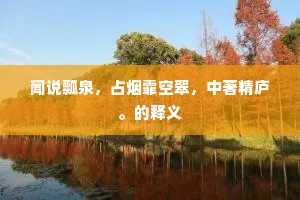 闻说瓢泉，占烟霏空翠，中著精庐。的释义