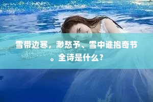 雪带边寒，渺愁予、雪中谁抱奇节。全诗是什么？