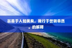 翁善于人知美矣，我行于世转乖然。的解释