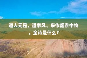 道人元是，道家风、来作烟霞中物。全诗是什么？
