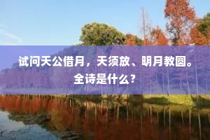 试问天公借月，天须放、明月教圆。全诗是什么？