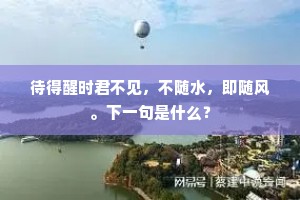 待得醒时君不见，不随水，即随风。下一句是什么？