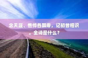 念天涯、憔悴各飘零，记初曾相识。全诗是什么？