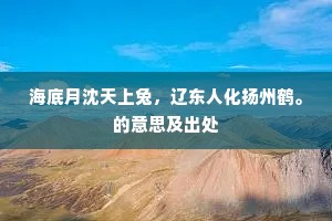 海底月沈天上兔，辽东人化扬州鹤。的意思及出处