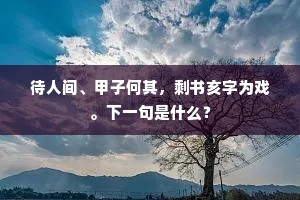 待人间、甲子何其，剩书亥字为戏。下一句是什么？