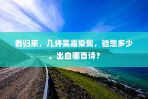 看归来，几许吴霜染鬓，验愁多少。出自哪首诗？