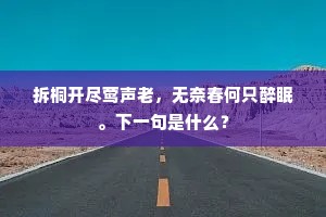 拆桐开尽莺声老，无奈春何只醉眠。下一句是什么？
