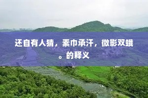 还自有人猜，素巾承汗，微影双蛾。的释义