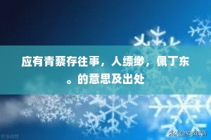 应有青藜存往事，人缥缈，佩丁东。的意思及出处