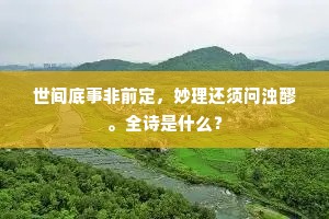 世间底事非前定，妙理还须问浊醪。全诗是什么？