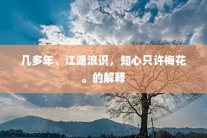 几多年、江湖浪识，知心只许梅花。的解释