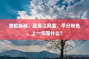 放船纵棹，趁吴江风露，平分秋色。上一句是什么？