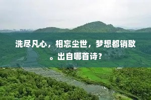 洗尽凡心，相忘尘世，梦想都销歇。出自哪首诗？