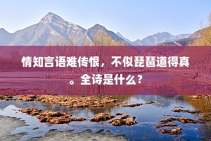 情知言语难传恨，不似琵琶道得真。全诗是什么？