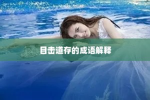 目击道存的成语解释