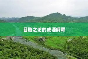 目睫之论的成语解释