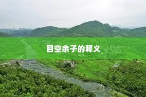 目空余子的释义