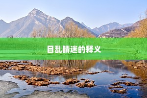 目乱睛迷的释义