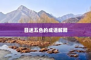 目迷五色的成语解释