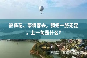 被杨花、带将春去，飘扬一路无定。上一句是什么？