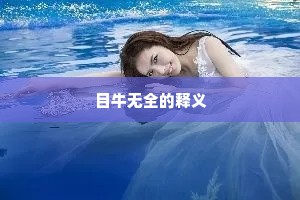 目牛无全的释义