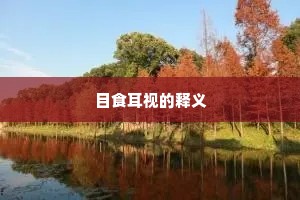 目食耳视的释义