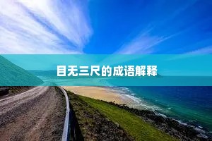 目无三尺的成语解释
