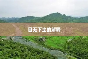 目无下尘的解释