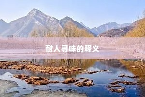 耐人寻味的释义