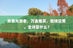 奈春光渐老，万金难买，偷钱空费。全诗是什么？