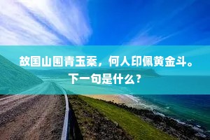 故国山围青玉案，何人印佩黄金斗。下一句是什么？