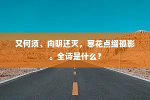 又何须、向明还灭，寒花点缀孤影。全诗是什么？