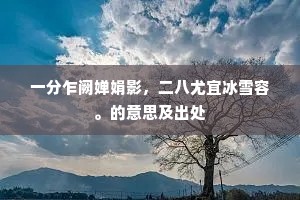 一分乍阙婵娟影，二八尤宜冰雪容。的意思及出处