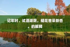 记年时、试酒湖阴，褪花曾采新杏。的解释